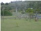 Plainland QLD 4341