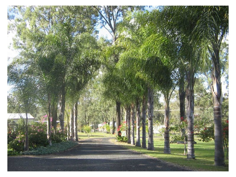 107 Thallon Road, Kensington Grove QLD 4341