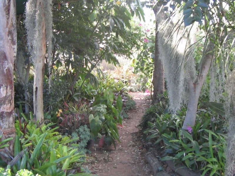 107 Thallon Road, Kensington Grove QLD 4341