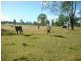 Gatton QLD 4343
