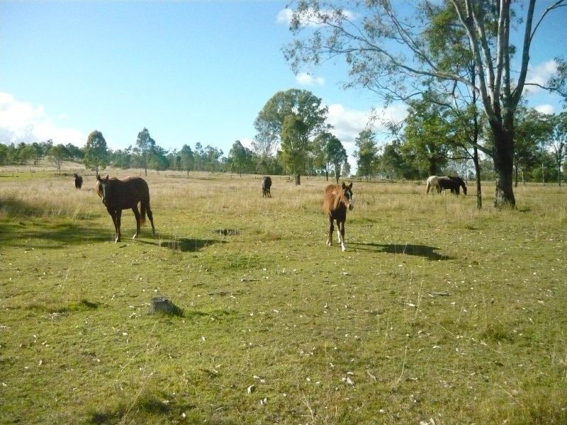 Gatton QLD 4343