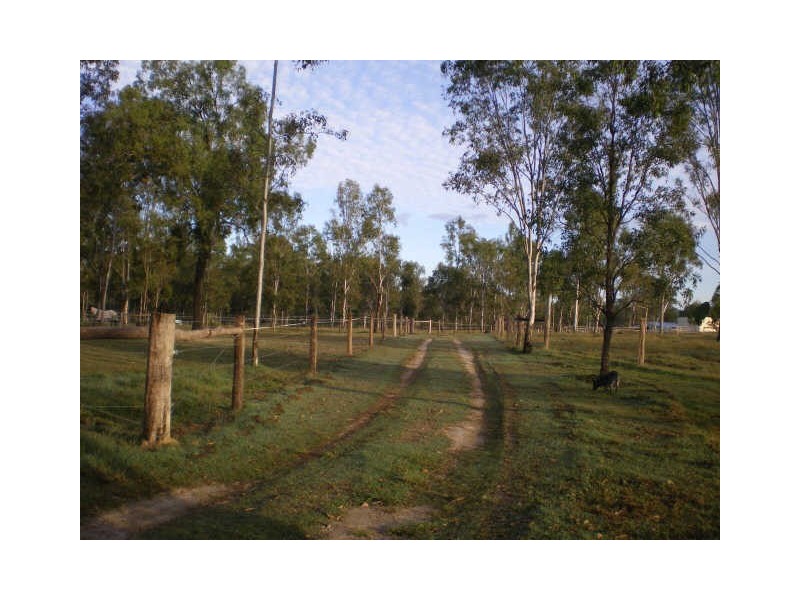 Gatton QLD 4343