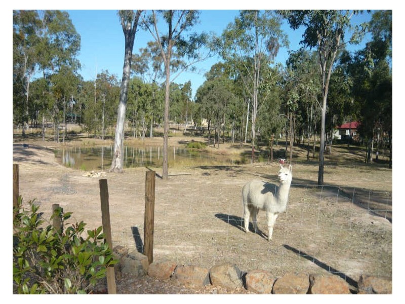 119 Tillack Road, Gatton QLD 4343