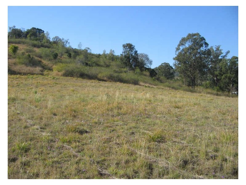 25 Bushman Street, Plainland QLD 4341