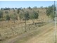 Gatton QLD 4343