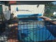 Gatton QLD 4343