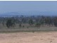 Gatton QLD 4343