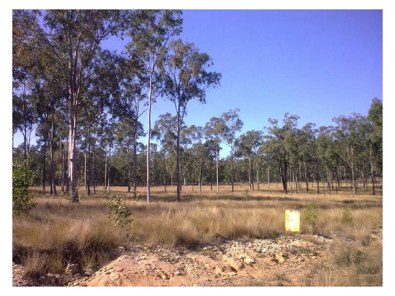 Gatton QLD 4343