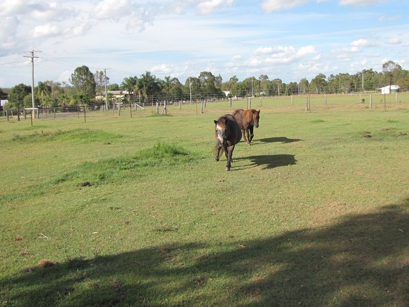Placid Hills QLD 4343