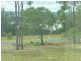 Laidley Heights QLD 4341