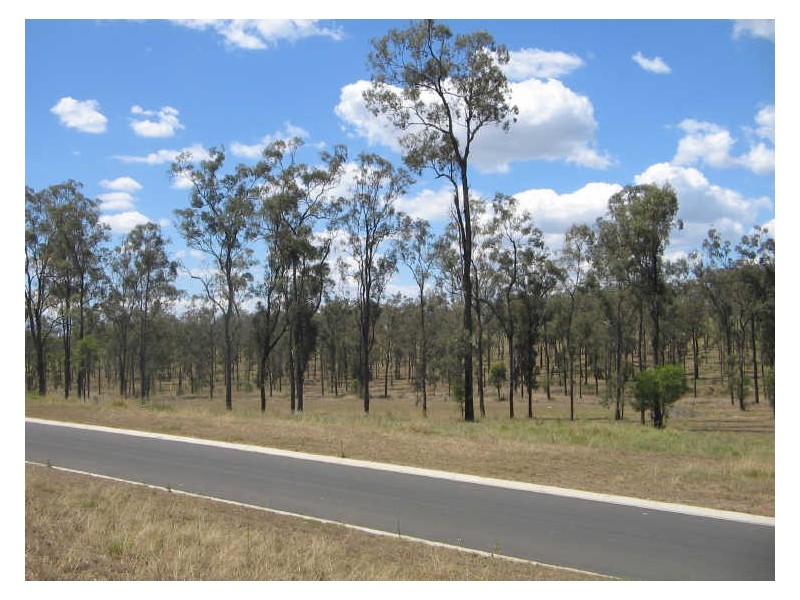 Lot 3 Hanlon Court, Laidley Heights QLD 4341