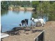 17 Markai Road, Lockyer Waters QLD 4311