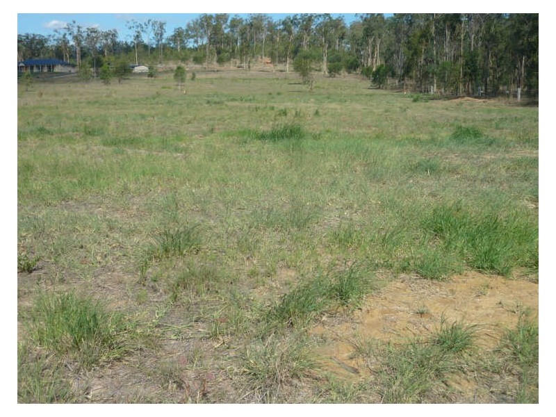 Gatton QLD 4343