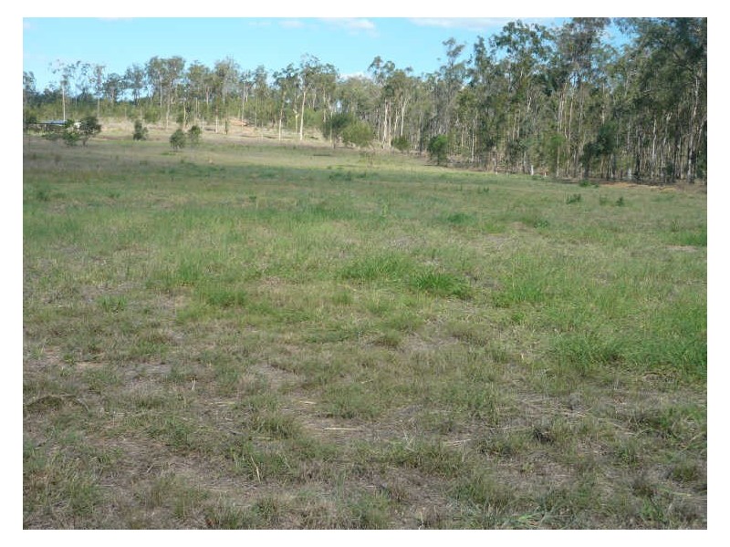 Gatton QLD 4343
