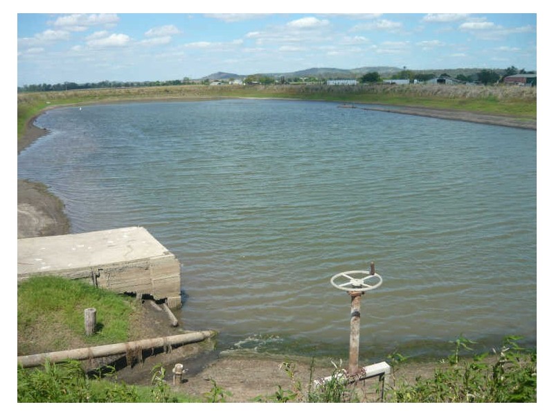 College View QLD 4343