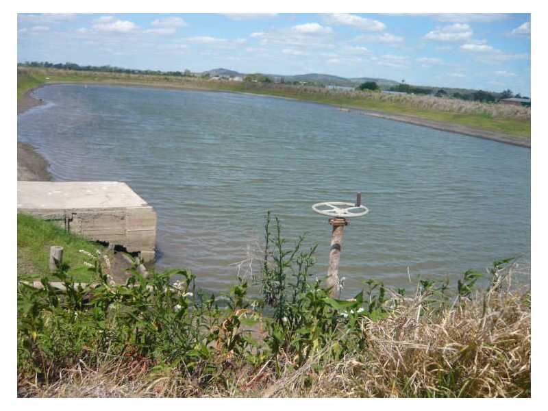 College View QLD 4343