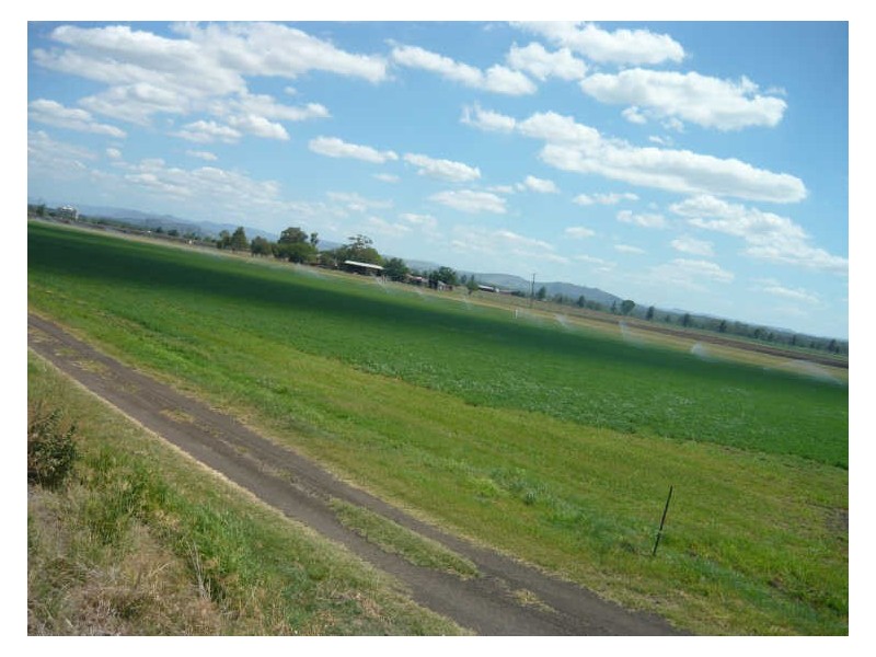 College View QLD 4343