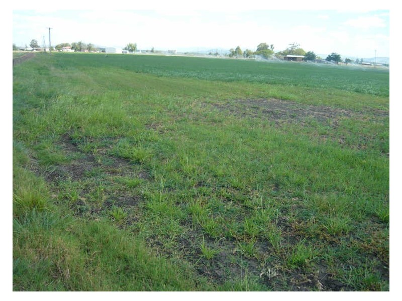 College View QLD 4343