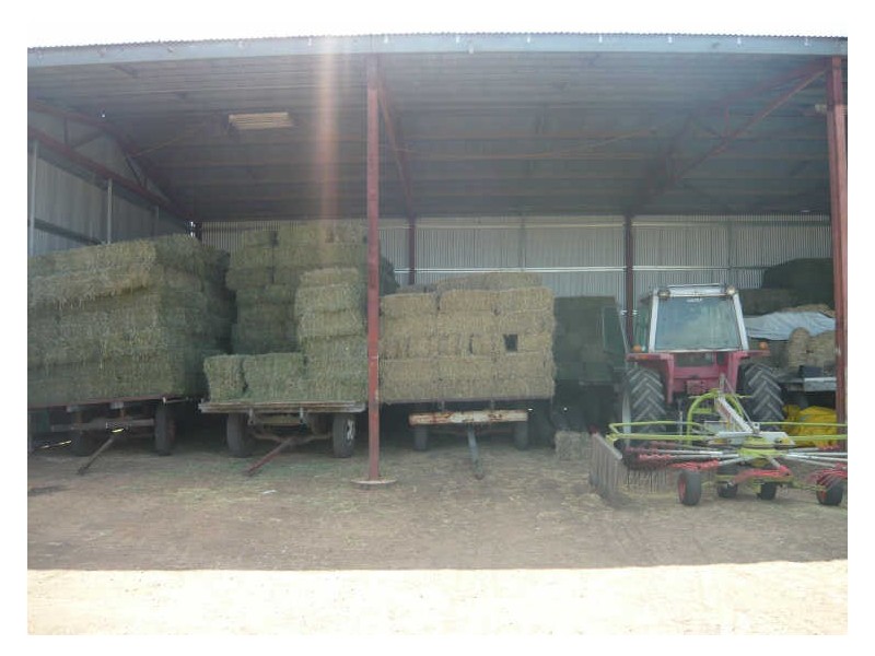 College View QLD 4343