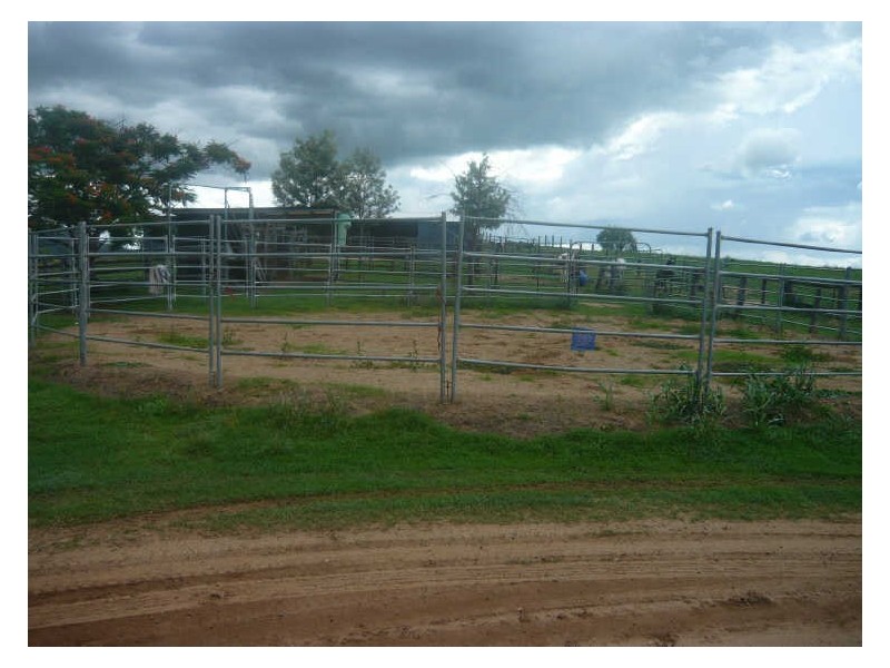 164 Mount Sylvia Road, Upper Tenthill QLD 4343