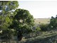 164 Mount Sylvia Road, Upper Tenthill QLD 4343