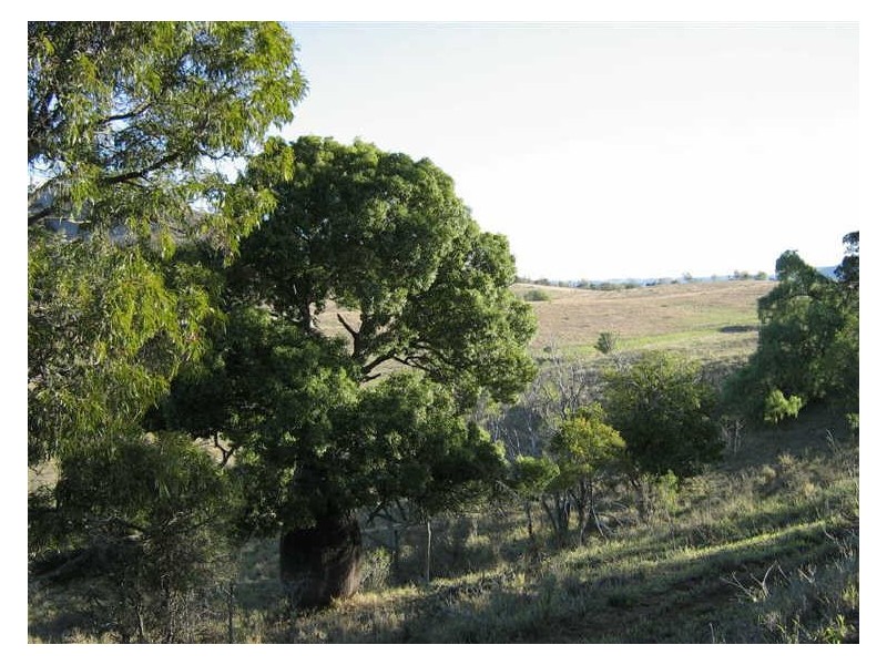 164 Mount Sylvia Road, Upper Tenthill QLD 4343