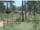 Gatton QLD 4343