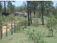 Gatton QLD 4343