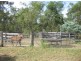 55 McGarvas Road, Grantham QLD 4347