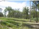 55 McGarvas Road, Grantham QLD 4347