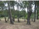Helidon QLD 4344