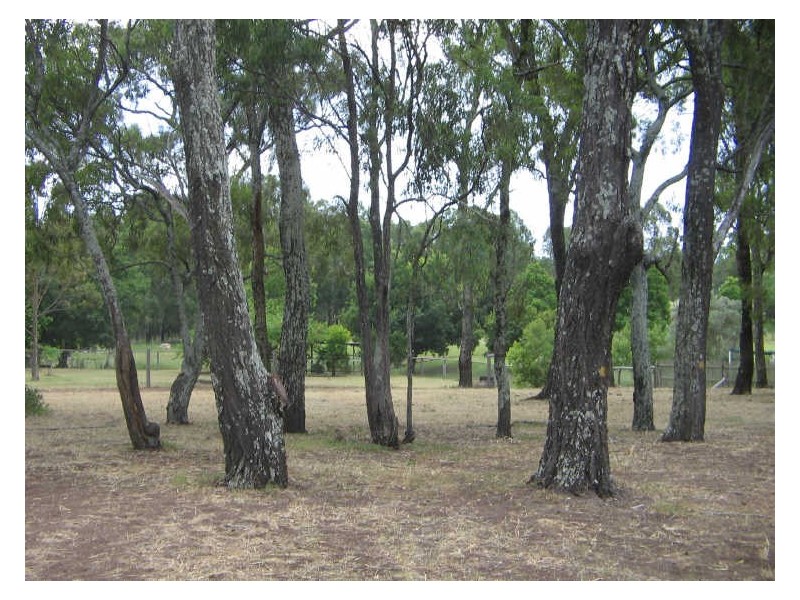 Helidon QLD 4344