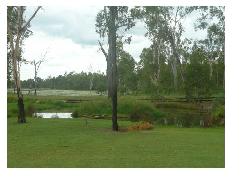 Gatton QLD 4343