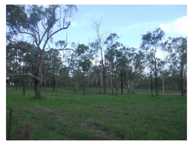 Lot 47 Riana Ave, Forest Hill QLD 4342