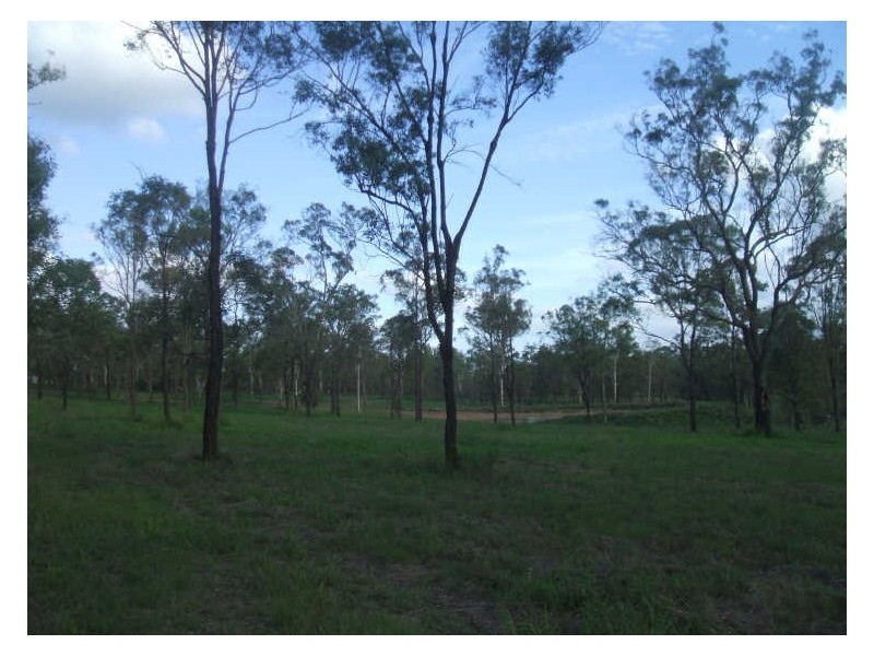 Lot 47 Riana Ave, Forest Hill QLD 4342