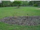 Gatton QLD 4343