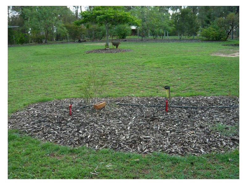 Gatton QLD 4343