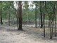 Gatton QLD 4343
