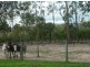 Gatton QLD 4343