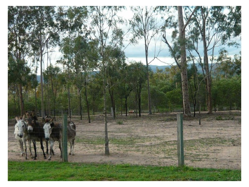 Gatton QLD 4343