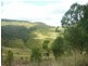 Mount Whitestone QLD 4347