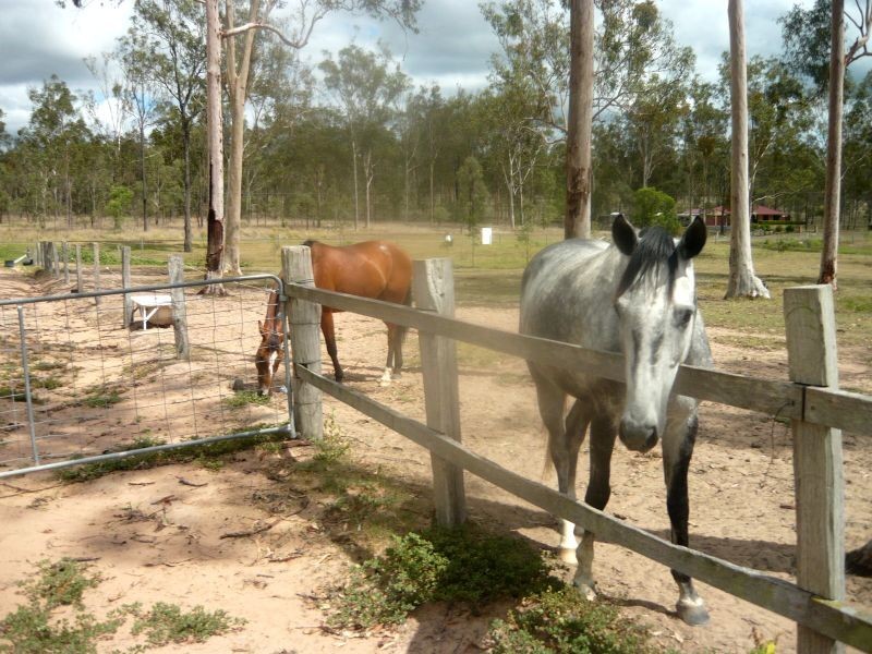 Gatton QLD 4343