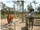Gatton QLD 4343