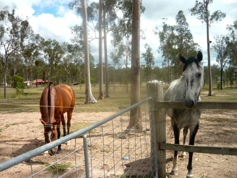 Gatton QLD 4343