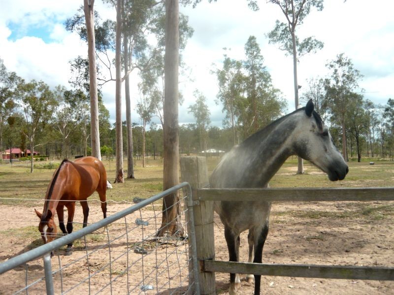 Gatton QLD 4343