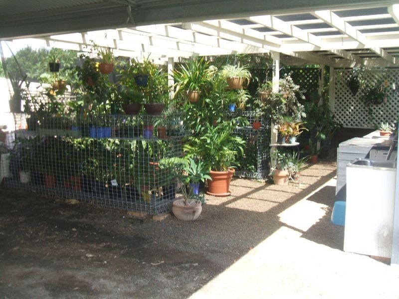 Gatton QLD 4343