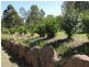 Regency Downs QLD 4341