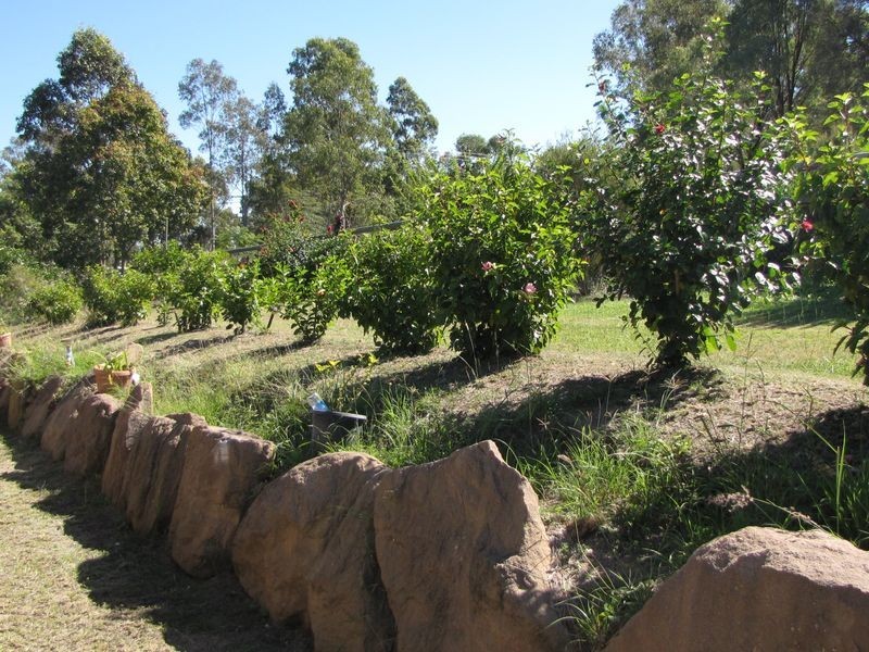Regency Downs QLD 4341