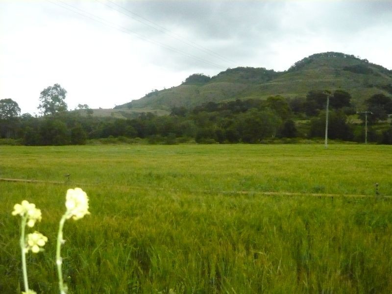 Mount Sylvia QLD 4343