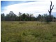 Adare QLD 4343